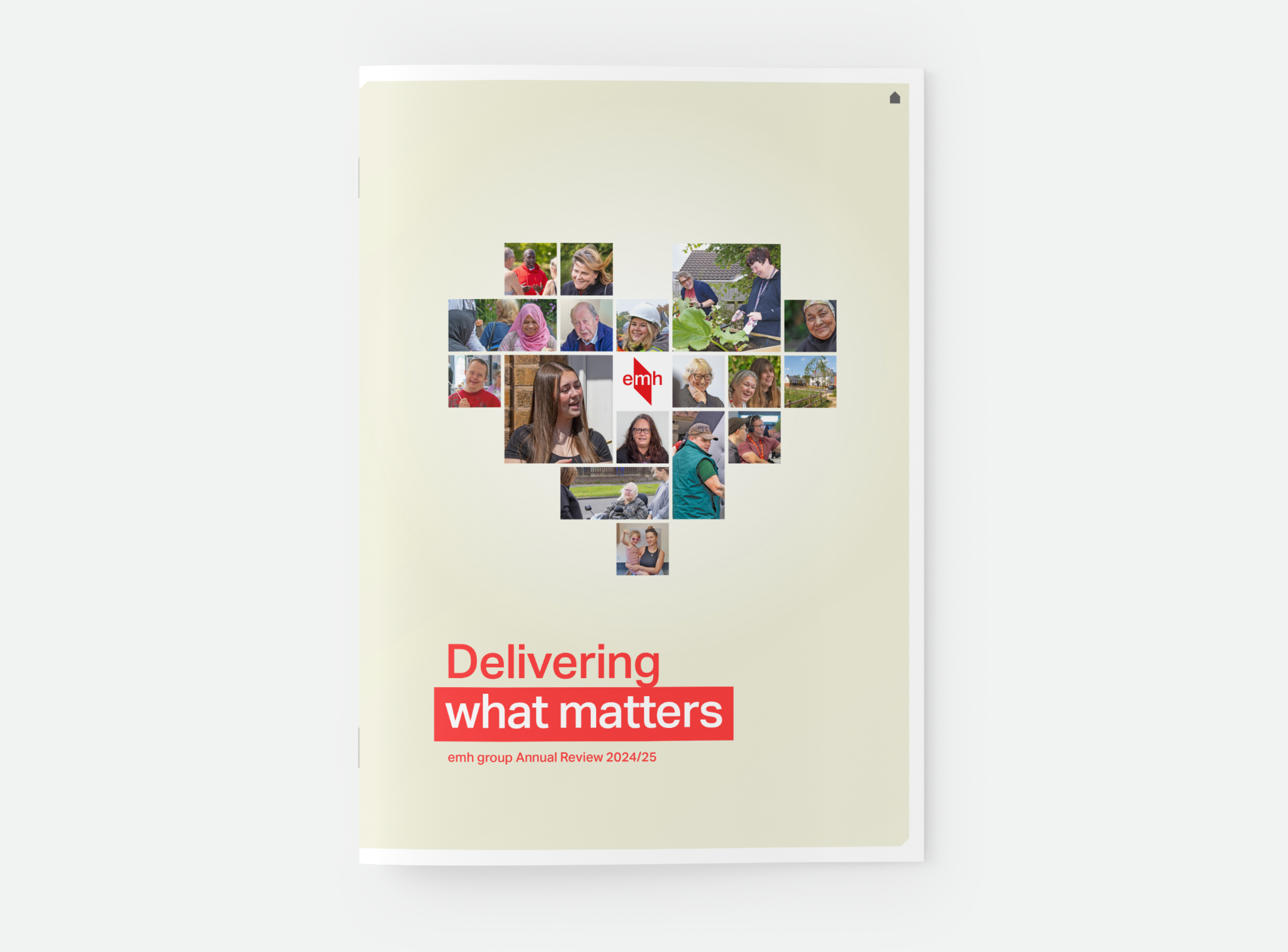 Emh Annual Review 2025